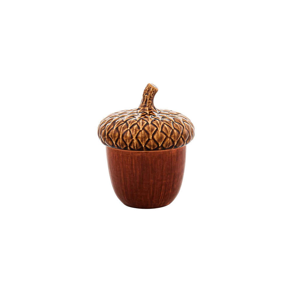 Recipiente em forma de bolota castanho sobre fundo branco