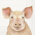 Ilustração digital de um porco rosa claro com grande orelhas e focinho, fundo branco texturizado.