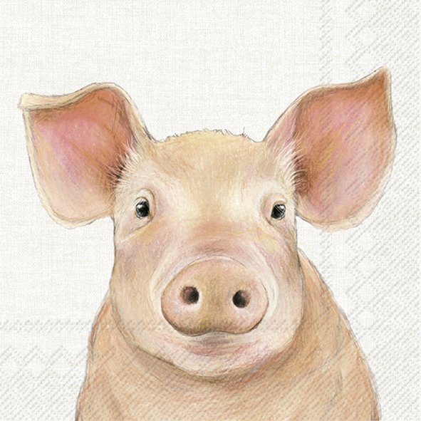 Ilustração digital de um porco rosa claro com grande orelhas e focinho, fundo branco texturizado.