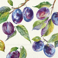 Padrão têxtil com ameixas e folhas em aquarela sobre fundo branco