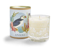 Vela perfumada LoveOlli com embalagem decorativa e caixa cilíndrica
