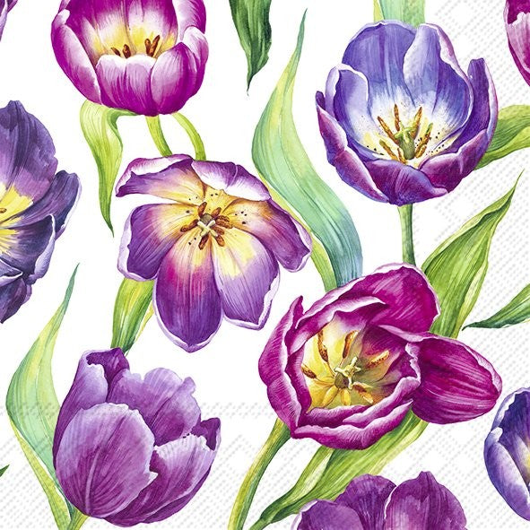 Padrão floral de tulipas roxas e lilases com folhas verdes em fundo branco.