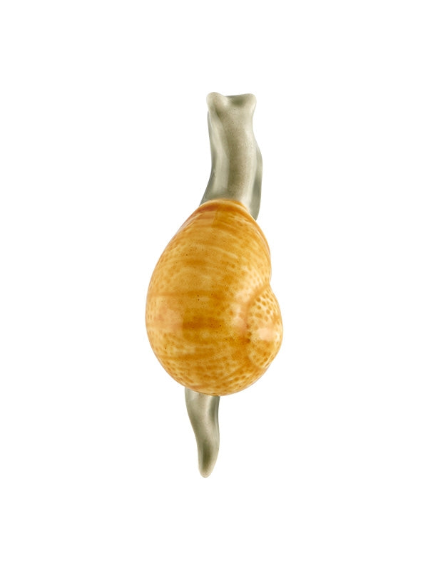 Caramujo com concha amarela clara e corpo cinza