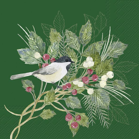 Ilustração de pássaro cinzento e branco em ramo com folhas e bagas vermelhas e brancas sobre fundo verde
