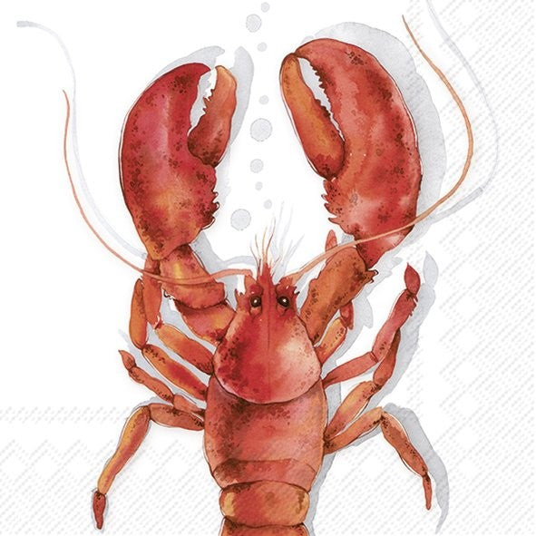Ilustração de lagosta vermelha com pinças grandes em fundo branco