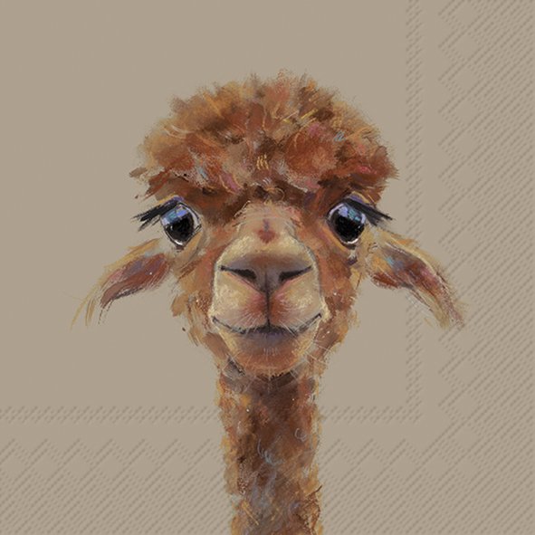Desenho digital de cabeça de lhama castanha com fundo bege