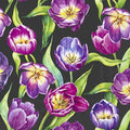 Padrão floral colorido com tulipas roxas e verdes sobre fundo preto