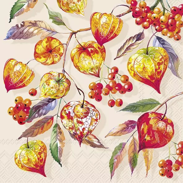 Folhas e frutos decorativos em aquarela coloridos