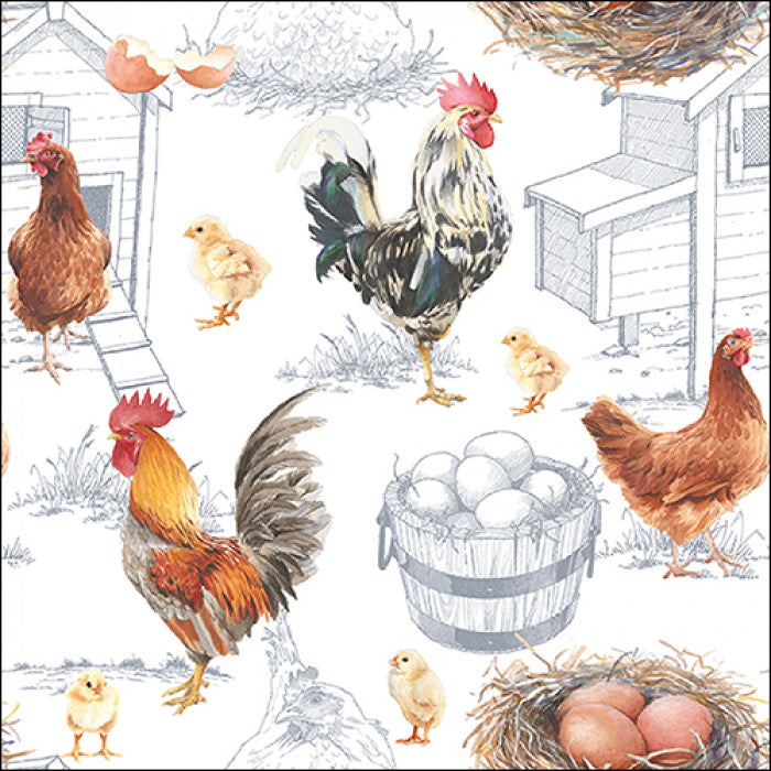 Ilustração com galinhas, pintos, um galo, ovos em balde e galinheiro desenhado
