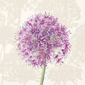 Ilustração de flor cor-de-rosa e roxa com caule verde sobre fundo claro