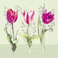 Ilustração de três tulipas rosas e vermelhas com folhas verdes num fundo verde claro