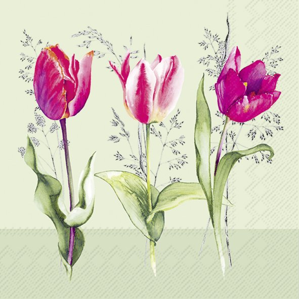 Ilustração de três tulipas rosas e vermelhas com folhas verdes num fundo verde claro