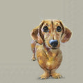 Ilustração digital de cão dachshund castanho em fundo bege