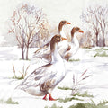 Ilustração de três gansos em cena de inverno com árvores e neve.