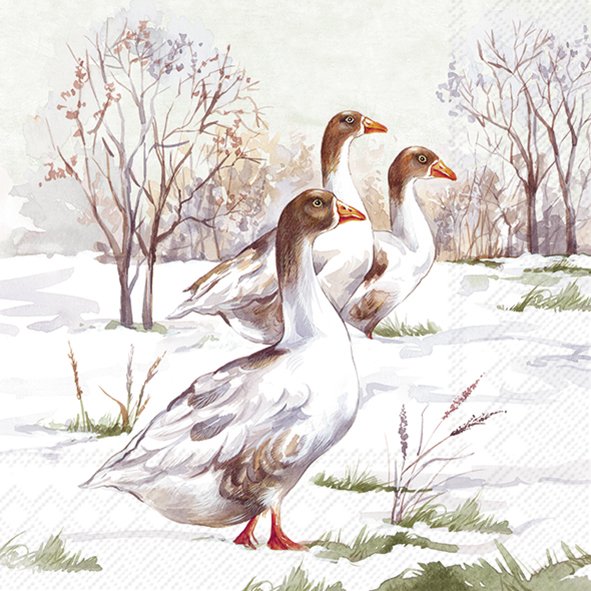 Ilustração de três gansos em cena de inverno com árvores e neve.