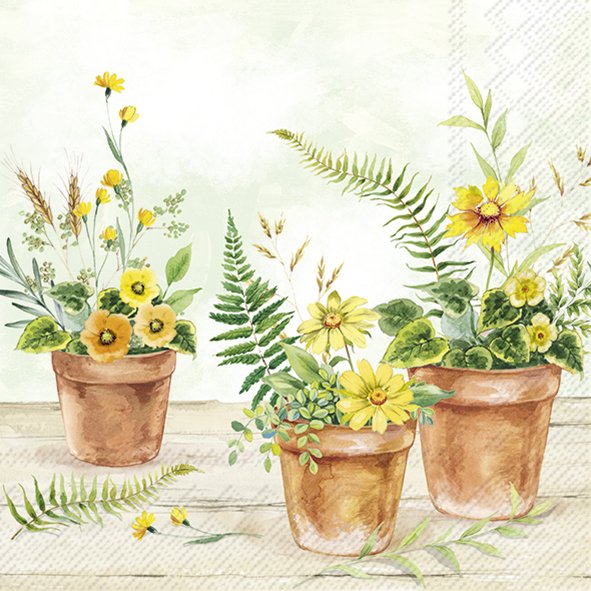 Três vasos de barro com flores amarelas e folhas verdes num fundo suave