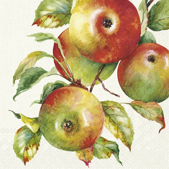 Ilustração aguarela de maçãs com folhas verdes