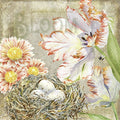 Ilustração de flores, ninho com ovos e texto decorativo sobre primavera.