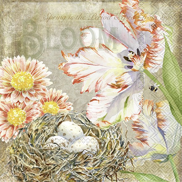 Ilustração de flores, ninho com ovos e texto decorativo sobre primavera.