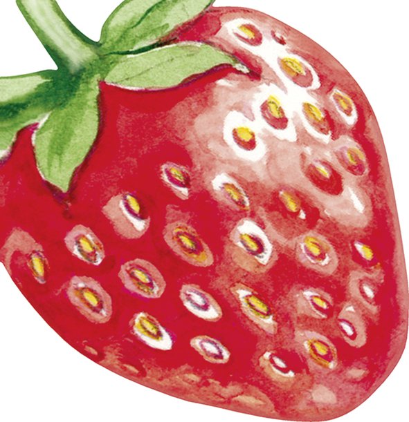 Ilustração de uma morango vermelho com sementes amarelas e brancas, e folhas verdes na parte superior
