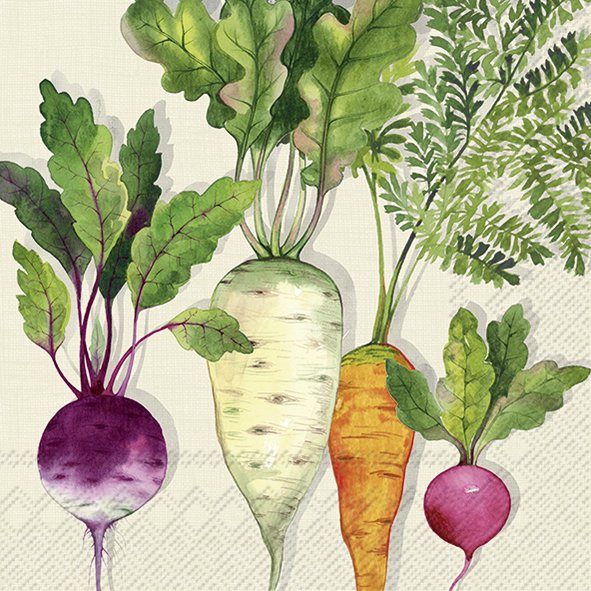 Desenho de quatro raízes vegetais com folhas verdes em fundo claro