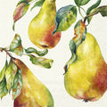 Ilustração aquarela de três peras amarelas com folhas verdes e vermelhas