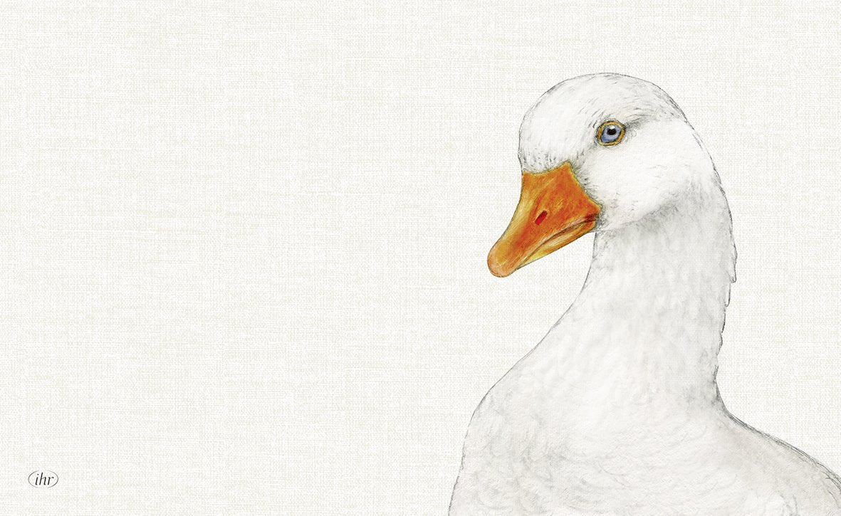 Desenho artístico de pato branco com bico laranja sobre fundo branco