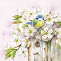 Pássaro azul e amarelo numa casinha de madeira entre flores brancas