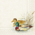 Ilustração de dois patos na água com plantas ao fundo.